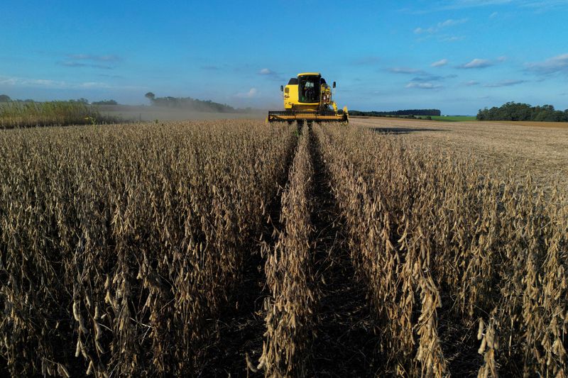 FILE PHOTO: A drone image shows a farm worker operating a combine harvester during the soybean harvest season in Brazil's southernmost state, on a farm in Lagoa dos Tres Cantos, Rio Grande do Sul state, Brazil, April 1, 2025. REUTERS/Diego Vara/File Photo