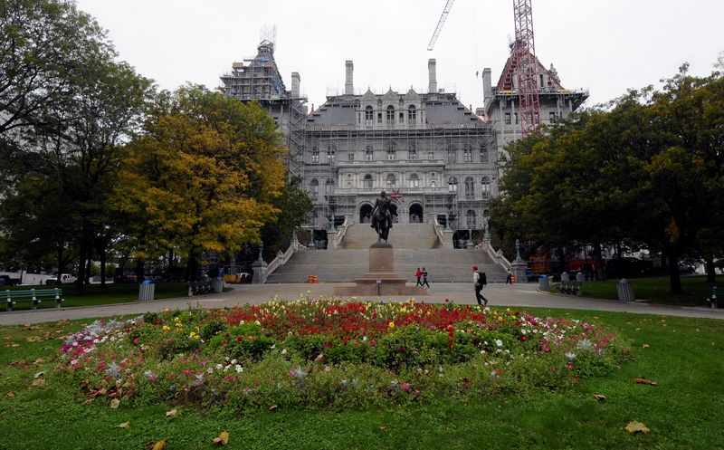 FILE PHOTO: A view of the State Capitol is seen in Albany, New York October 12, 2011. REUTERS/Hans Pennink/File Photo