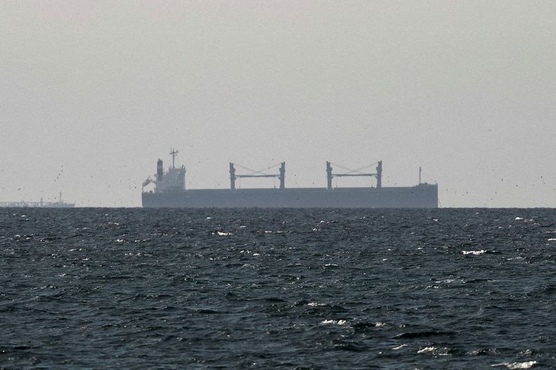 FILE PHOTO: A cargo ship in the Gulf, near the Strait of Hormuz, as seen from northern Ras al-Khaimah, near the border with Oman’s Musandam governance, amid the U.S.-Israeli conflict with Iran, in United Arab Emirates, March 11, 2026. REUTERS/Stringer/File Photo
