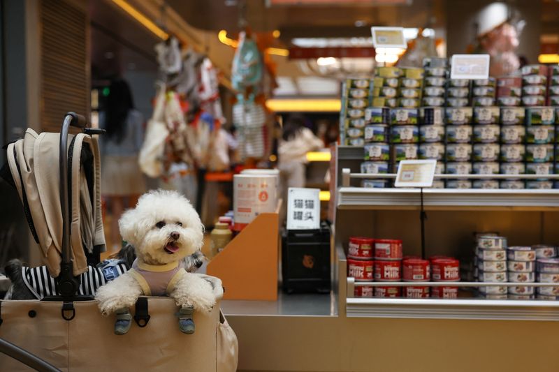 A pet dog sits in a stroller at a pet store in Beijing, China April 17, 2026. REUTERS/Tingshu Wang