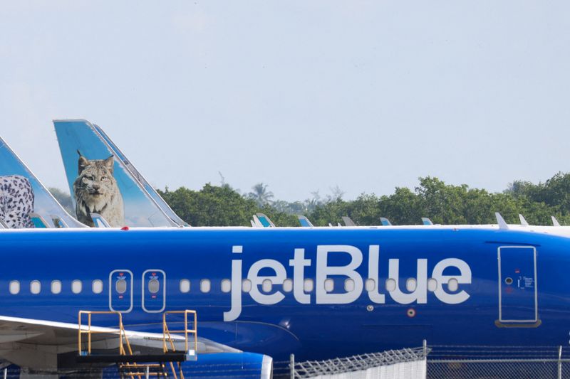 FILE PHOTO: A JetBlue aircraft stands parked at Luis Munoz Marin International Airport in Carolina, near San Juan, Puerto Rico January 3, 2026. REUTERS/Ricardo Arduengo/File Photo