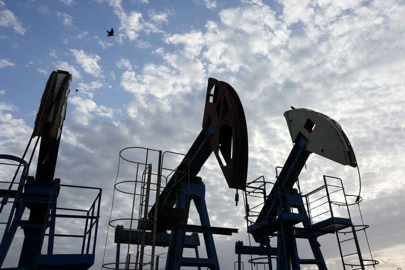 Birds fly over pump jacks at the Airankol oil field operated by Caspiy Neft in the Atyrau region, Kazakhstan, April 20, 2026. REUTERS/Pavel Mikheyev