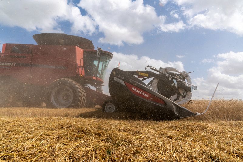 A combine harvests wheat in Kremlin, Oklahoma, U.S., June 12, 2025.  REUTERS/Nick Oxford