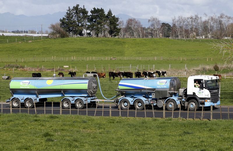 A Fonterra milk tanker drives past dairy cows as it arrives at Fonterra's Te Rapa plant near Hamilton, New Zealand August 6, 2013.  EUTERS/Nigel Marple
