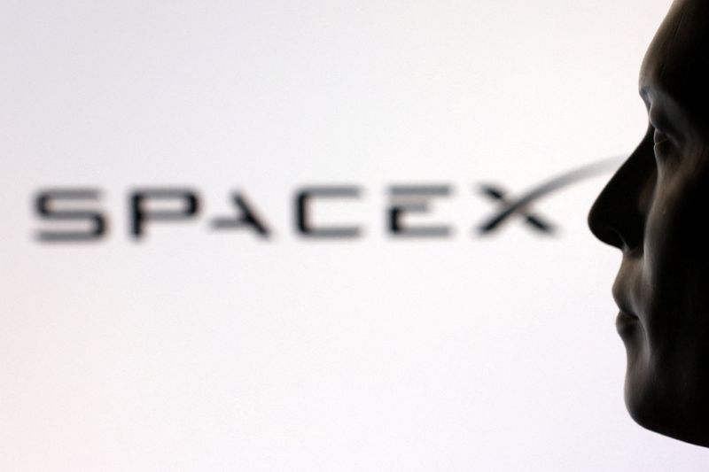 A 3D printed Elon Musk model and SpaceX logo are seen in this illustration taken June 4, 2026. REUTERS/Dado Ruvic/Illustration