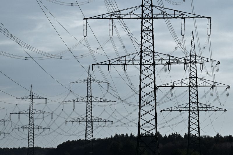 FILE PHOTO: High-voltage power lines and electricity pylons are pictured close to the motorway A24 near Luettow-Valluhn, Germany January 31, 2025. REUTERS/Annegret Hilse/File Photo