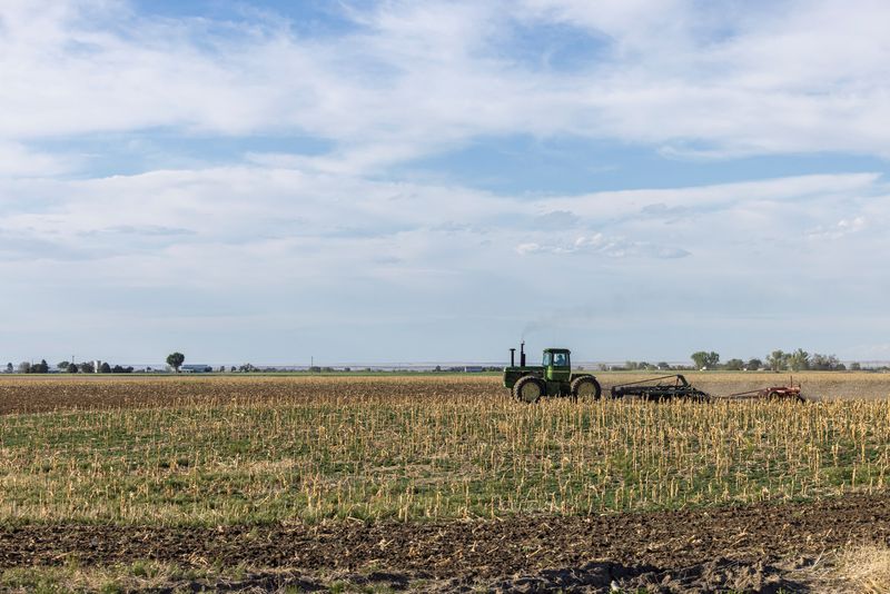 A farmer drives a tractor to till a field in Wiggins, Colorado, U.S., May 11, 2026.  REUTERS/Kevin Mohatt