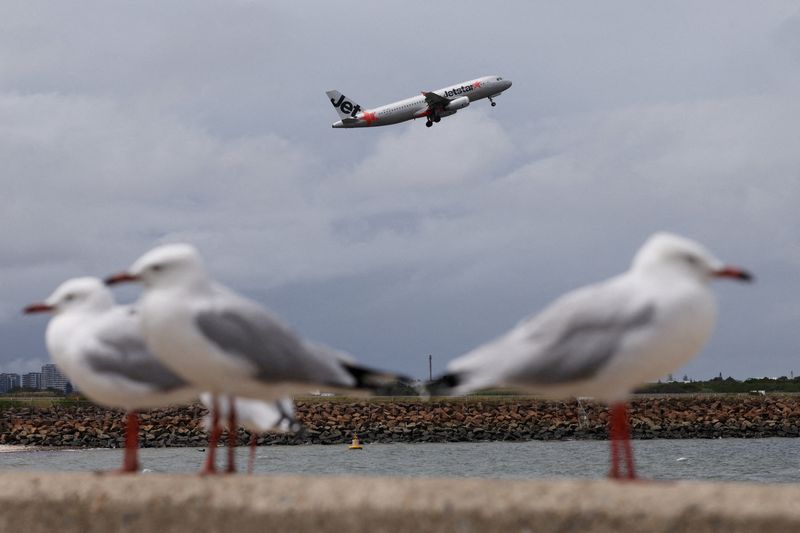 FILE PHOTO: Seagulls stand on a wall overlooking the Sydney Airport as a Jetstar Airbus A320 takes off on the day Qantas Group announced their half-year results, in Sydney, Australia, February 26, 2026. REUTERS/Hollie Adams/File Photo