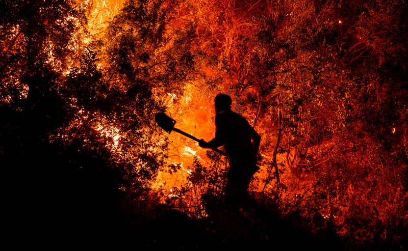 FILE PHOTO: A villager helps battle a wildfire in the Seydikemer district of Mugla province, Turkey, July 29, 2026. REUTERS/Ali Dinc/File Photo