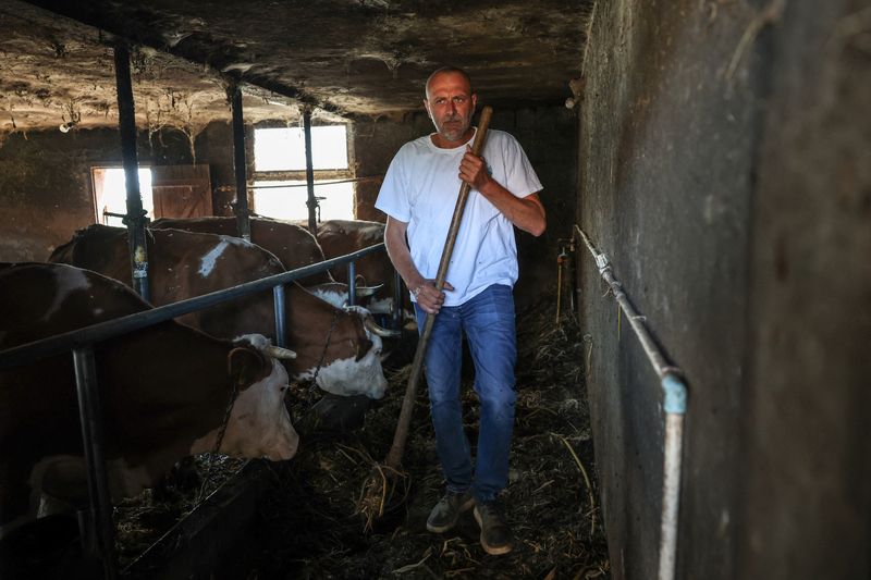 Farmer Zlatko Kokanovic feeds cows at his farm near where the mining company Rio Tinto plan to open a mine for their lithium project in Gornje Nedeljice, Serbia, June 5, 2025. REUTERS/Marko Djurica