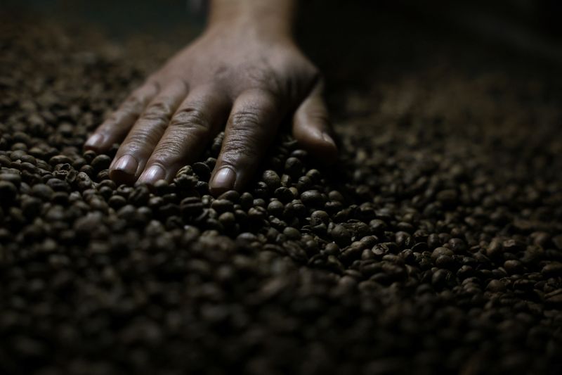 A worker checks roasted coffee beans at a farm near Brasilia, Brazil July 15, 2025. REUTERS/Adriano Machado