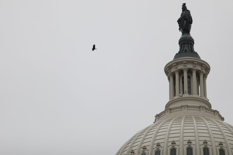 A bird flies across the U.S. Capitol rotunda, on Capitol Hill in Washington, U.S., October 22, 2019.  REUTERS/Tom Brenner