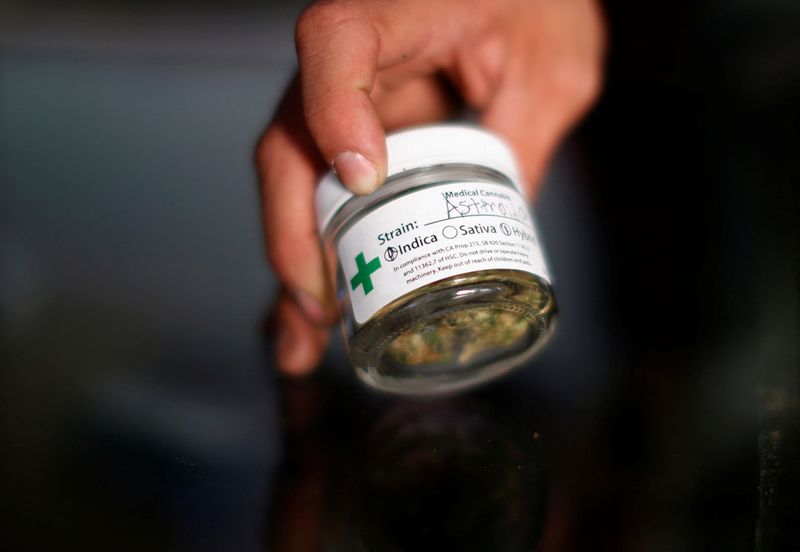 FILE PHOTO: A volunteer displays cannabis buds at the La Brea Collective medical marijuana dispensary in Los Angeles, California, March 18, 2014.  REUTERS/Lucy Nicholson/File Photo