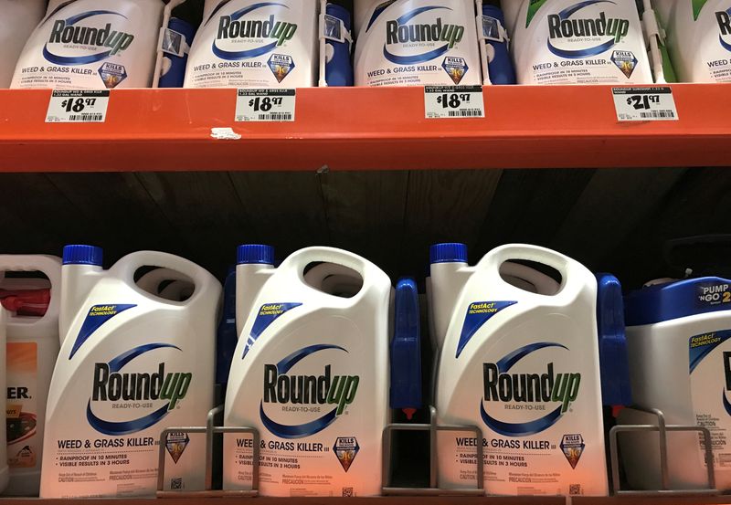 FILE PHOTO: Monsanto Co's Roundup is shown for sale in Encinitas, California, U.S., June 26, 2017.  REUTERS/Mike Blake/File Photo