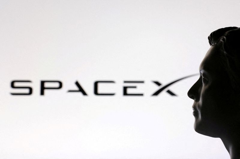 FILE PHOTO: A 3D-printed miniature model of Elon Musk and a SpaceX logo are seen in this illustration created onJanuary 23, 2025. REUTERS/Dado Ruvic/Illustration/File Photo