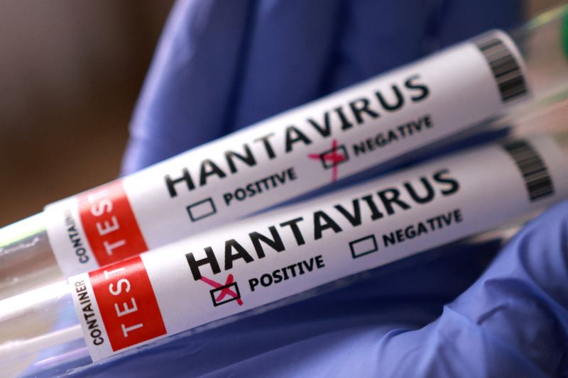 Test tubes labelled "Hantavirus positive and negative" are held in this illustration taken May 7, 2026. REUTERS/Dado Ruvic/Illustration