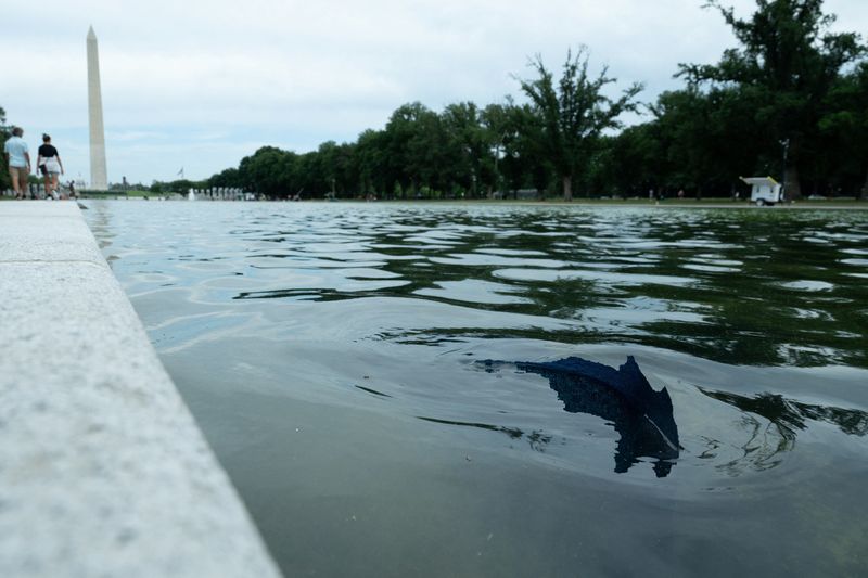 Paint peels from the bottom of the Lincoln Memorial Reflecting Pool after recent renovations following a directive from U.S. President Donald Trump to paint it blue ahead of the 250th anniversary of U.S. Independence, in Washington, D.C., U.S., June 18, 2026. REUTERS/Annabelle Gordon