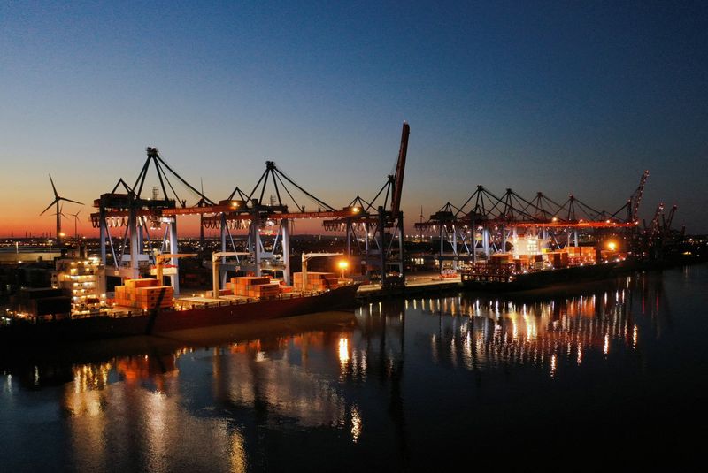 Container ships are seen at the loading terminal "Altenwerder" in the port of Hamburg, Germany, February 17, 2025. Picture taken with a drone. REUTERS/Fabian Bimmer/File Photo