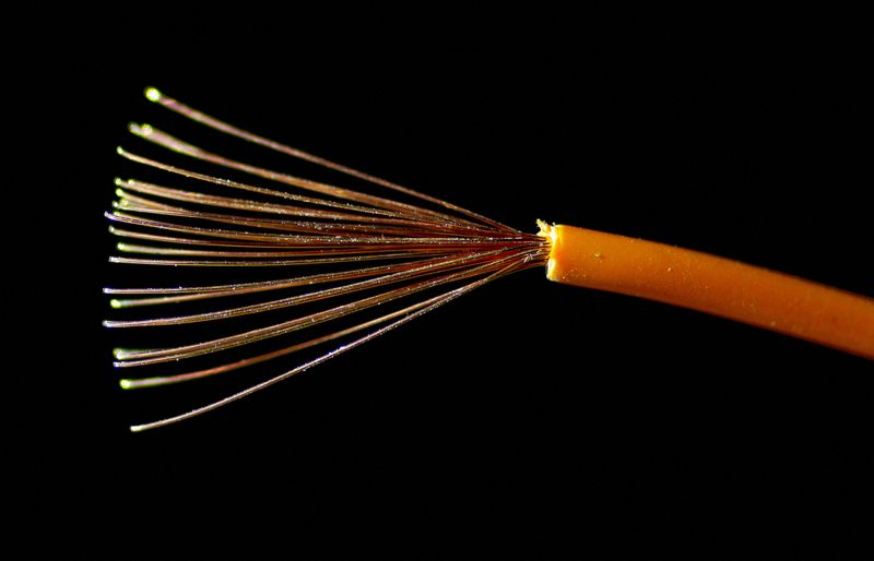 FILE PHOTO: An electric copper wire is seen in this illustration picture, October 25, 2017. REUTERS/Max Rossi/File Photo