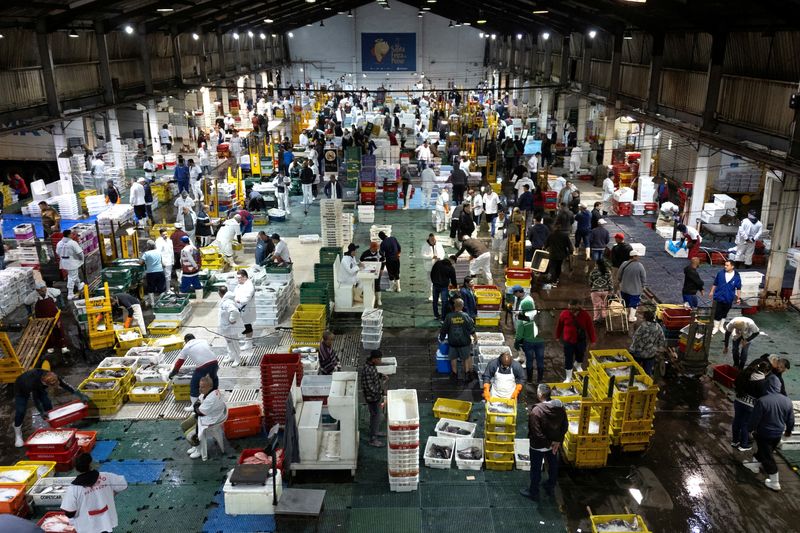 FILE PHOTO: A drone view shows the fish market at the food distribution center of the warehouse and general stores company CEAGESP, in Sao Paulo, Brazil August 5, 2025. REUTERS/Jorge Silva/File Photo