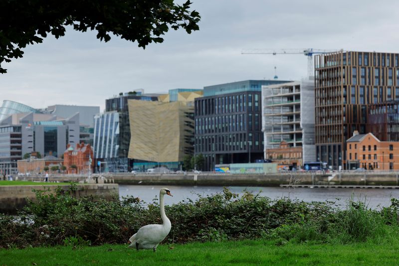 A swan walks on grass as the Irish Financial Services Centre (IFSC) is seen in the background, including the Central Bank of Ireland, in Dublin, Ireland August 30, 2023. REUTERS/Clodagh Kilcoyne
