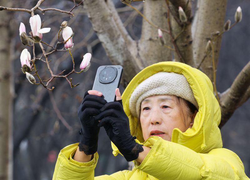 A woman takes images of magnolia flowers in Beijing, China, March 2, 2026. REUTERS/Maxim Shemetov