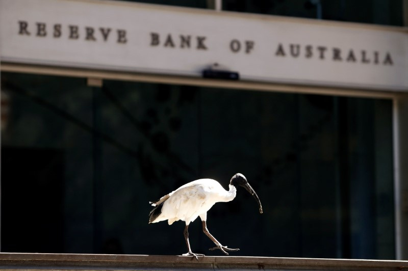 An ibis bird perches next to the Reserve Bank of Australia headquarters in central Sydney, Australia February 6, 2018. REUTERS/Daniel Munoz