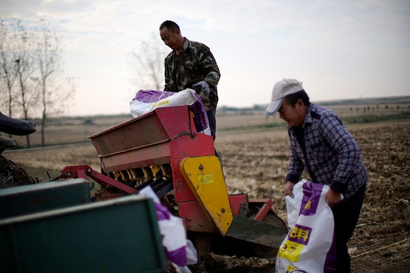 Farmers load sacks of fertiliser into a seeder on a wheat field in Nanyang, Henan province, China October 13, 2021.