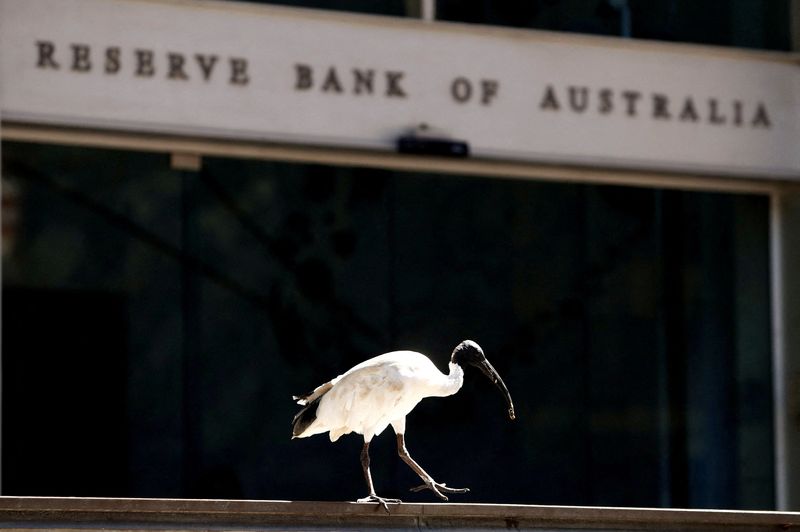 FILE PHOTO: An ibis bird perches next to the Reserve Bank of Australia headquarters in central Sydney, Australia February 6, 2018. REUTERS/Daniel Munoz/File Photo