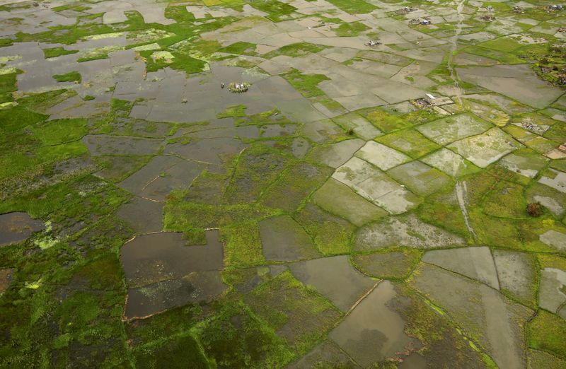 FILE PHOTO: Flooded fields are seen from the air near Beira, Mozambique, in the aftermath of Cyclone Idai, March 23, 2019. Picture taken March 23, 2019. REUTERS/Mike Hutchings/File Photo