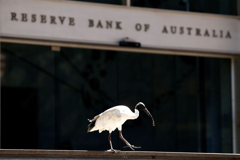 An ibis bird perches next to the Reserve Bank of Australia headquarters in central Sydney, Australia February 6, 2018. REUTERS/Daniel Munoz