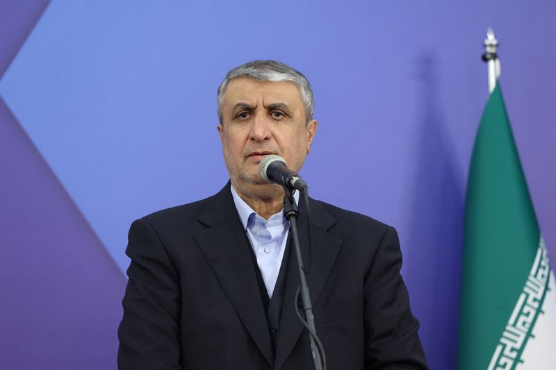 FILE PHOTO: Head of Iran's Atomic Energy Organization Mohammad Eslami speaks during a press conference in Tehran, Iran, November 14, 2024. Majid Asgaripour/WANA (West Asia press Agency) via REUTERS/File Photo