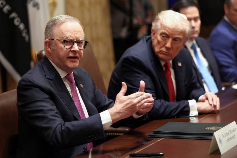 Australia's Prime Minister Anthony Albanese speaks during a meeting with U.S. President Donald Trump in the Cabinet Room at the White House, in Washington, D.C., U.S., October 20, 2025. REUTERS/Kevin Lamarque