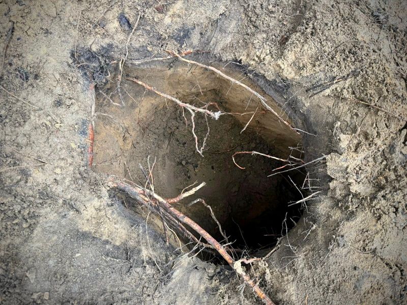 A tunnel used by migrants to cross from Belarus into Poland, according to authorities, is seen near Narewka, Poland, in this handout photo released by the Polish Border Guard on December 12, 2025. Polish Border Guard/Handout via REUTERS