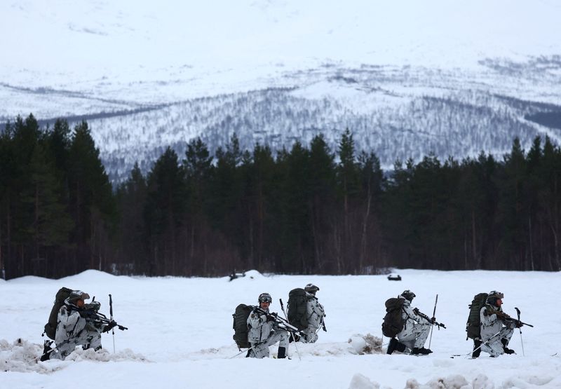 FILE PHOTO: German soldiers take part in a military drill during NATO's Cold Response exercises near Bardufoss, in Arctic Norway, March 13, 2026. REUTERS/Bernadett Szabo/File Photo