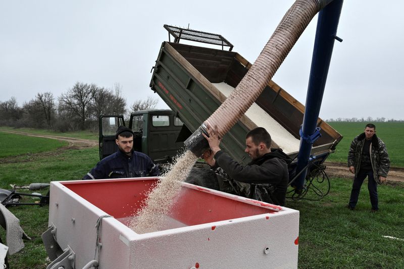 FILE PHOTO: Agricultural workers load a tractor with fertilizer before spreading it in a winter wheat field, amid Russia's attack on Ukraine, in Dnipropetrovsk region, Ukraine April 2, 2026.  REUTERS/Stringer/File Photo
