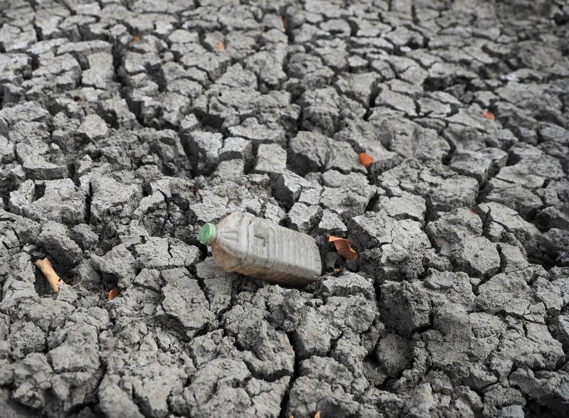 FILE PHOTO: A view of cracked ground at a dam, as Zimbabwe is experiencing an El Nino-induced drought, resulting in malnutrition among children under the age of five, pregnant and lactating women, and adolescents, in Mudzi, Zimbabwe July 2, 2024. REUTERS/Philimon Bulawayo/File Photo