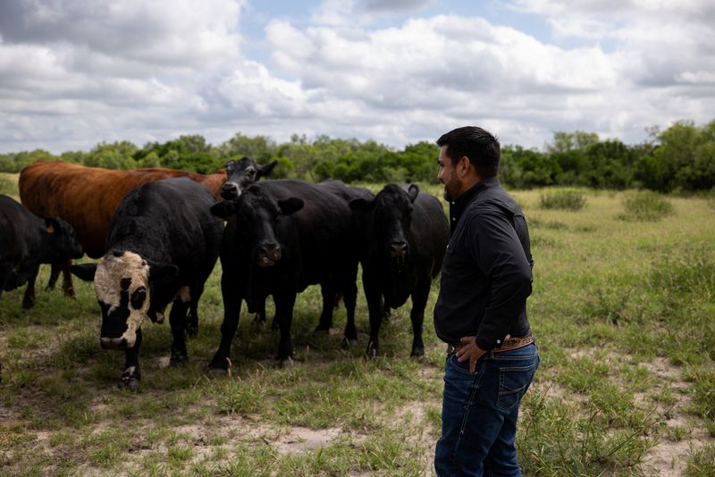 Anthony Gallegos, 43, stands in a pasture with some of his cows on his ranch, three days after the U.S. Department of Agriculture confirmed that New World screwworm was detected in a Texas calf in Zavala County, near La Pryor, Texas, U.S. June 6, 2026.  REUTERS/Kaylee Greenlee