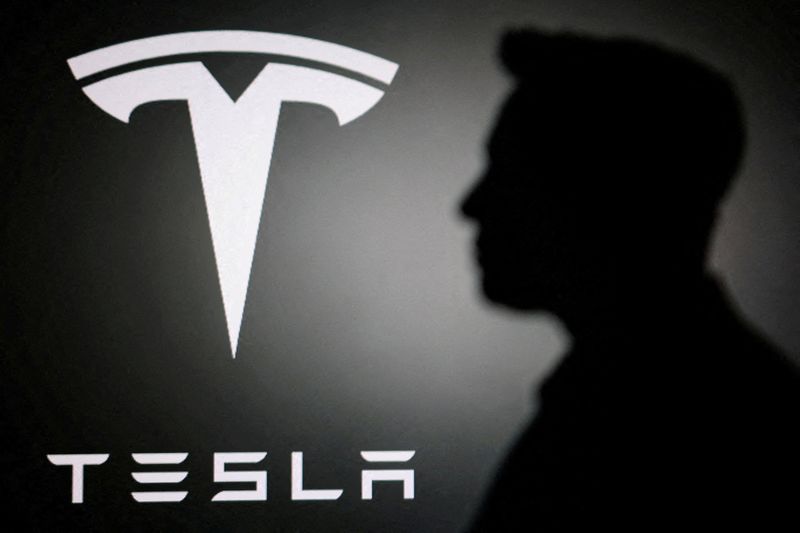 FILE PHOTO: The silhouette of Elon Musk and Tesla logo are seen in this illustration taken June 11, 2026. REUTERS/Dado Ruvic/Illustration/File Photo