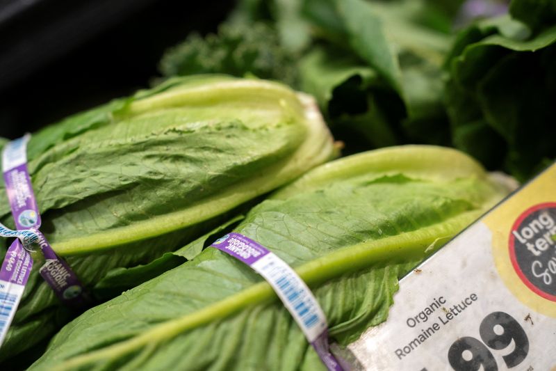 Lettuce is displayed for sale, amid reports of slumping consumer confidence in lettuce and other fresh produce during the current cyclosporiasis outbreak that has sickened thousands across the U.S., at a grocery store in Washington, D.C., U.S., July 24, 2026. REUTERS/Nathan Howard