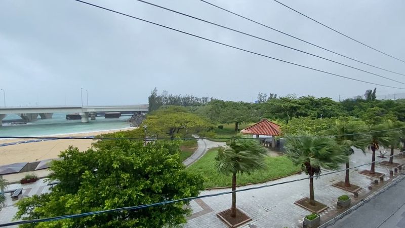 Trees sway in strong winds as Typhoon Dolphin approaches, in Naha, Okinawa Prefecture, Japan, August 7, 2026, in this screengrab obtained from a social media video. @SleepdeeplyGG/X/via REUTERS