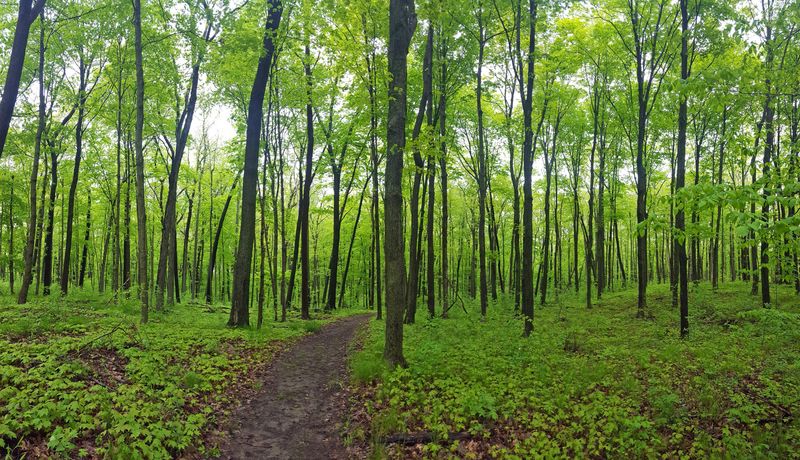 Number 9: Kettle Moraine State Forest-Northern Unit attracts more than 597,000 visitors annually. The busiest month is July, when more than 107,000 people visit.