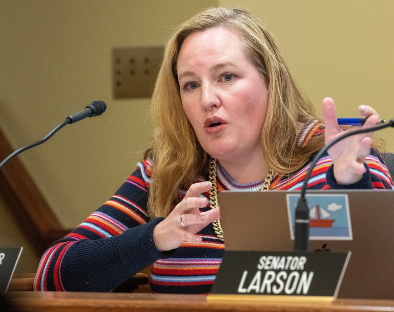 State Sen. Kelda Roys has announced she's running for governor.