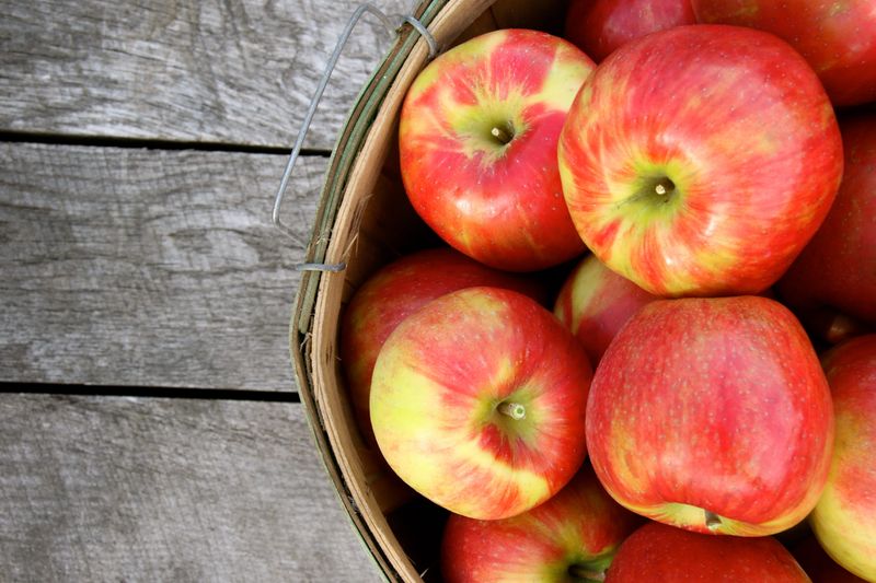 Rock Ridge Orchard at 128752 State 153 in Edgar will start its season on Aug. 29 with Honeycrisp, Zestar and Ginger Gold apples.