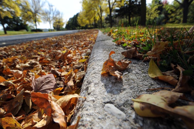 Fall leaves line the street on National Avenue in Fond du Lac, Wisconsin, in this file photo from October 2013.