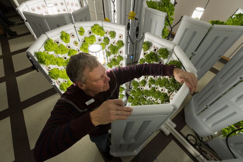 Gil Shaw, a partner in Fork Farms, makes a slight adjustment to a vertical hydroponics unit at Butte des Morts Elementary School in Menasha. Fork Farms is entering into a partnership with Makers Row in West Allis to bring one of the largest hydroponic farms to the area.