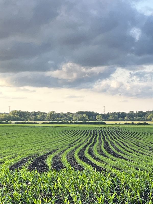 demand for operating loans was higher compared to the first quarter of 2024, indicating farms had less cash available to start the growing season.