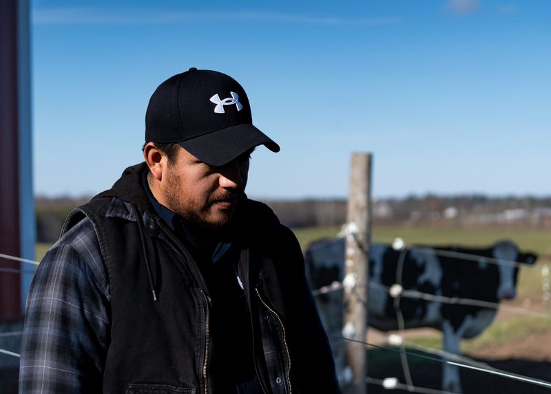 The dairy farm foreman and a migrant worker recounts his experiences working in the U.S. on Friday November 15, 2024 in Merrill, Wis.