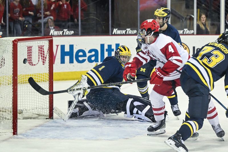 Wisconsin Badgers defenseman Ben Dexheimer (4) scores behind Michigan Wolverines goaltender Logan Stein (1) during the third period in a game Saturday, January 25, 2025, at the Kohl Center in Madison, Wisconsin.
