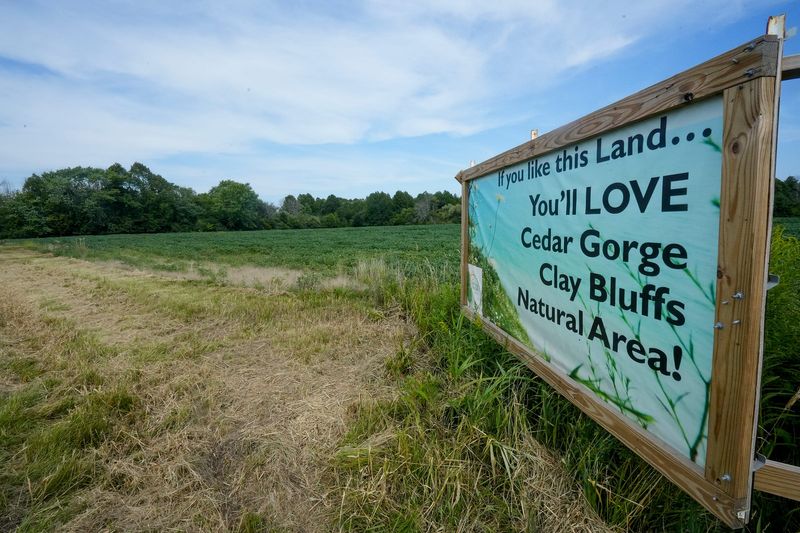 The land where Cedar Gorge Clay Bluffs in Ozaukee County will be Thursday, Aug. 18, 2022.  Funding will allow the Ozaukee-Washington Land Trust to continue with this conservation project.